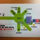 그린피그 이미지