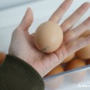 소룡산축산 네이버블로그