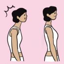 레드핏휘트니스 프리미엄 이미지