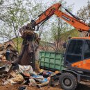 새터목장 이미지