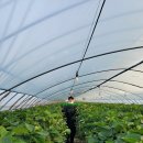 진형농장 이미지