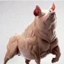 100년한의원 이미지