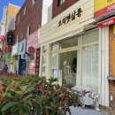 로히펫살롱 네이버블로그