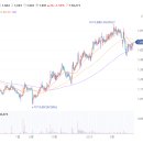 (주)티쓰리엔터테인먼트 | 티쓰리(주주환원과 내부자매수)