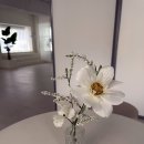 웨딩) 스튜디오 : 로라스튜디오 촬영 상담 후기