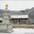 영주여관 Daum카페