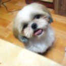 2호선 신도림역(05)