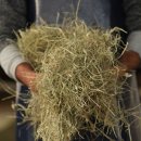 한아름목장2 이미지