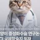 SCI 메디컬 이미지