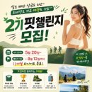 다이어트핏 네이버블로그