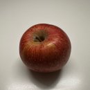 하이크린 | 맛있는 청송 하이크린 사과 온라인 구매 후기