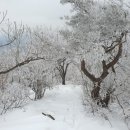 개암마을회관 | 예봉산에서 적갑산까지 눈길 따라서