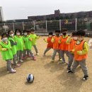 더 플로우 유치원 이미지