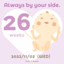 감자슈의 주간일기 챌린지 #23 : 먹는 사진만 가득하지만 내가 제일 좋아하는 가을이다 (10.31~11.06)