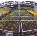 오암농장 이미지