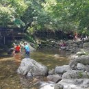용수목산장