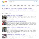 대세종