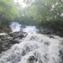 거제자연휴양림 이미지