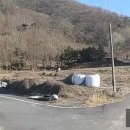 양지-3001 이미지