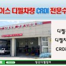 에이스 CRDI 이미지