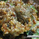 동인동 양푼이 찜갈비 이미지