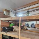 다인약국 | 5월 2박3일 울릉도 독도패키지여행 3일차 후기: 독도박물관, 독도케이블카, 오삼불고기