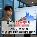 금과상회 | 금 가격, 금값 25% 폭락 원인 3가지 및 대처법: 2026년 금 ETF 분할 매수 타이밍