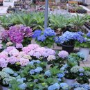 신용농원 이미지