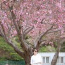 솔비치
