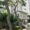 불당17길 이미지