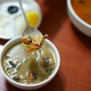 부광반점 이미지