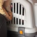 호야켄넬 이미지