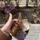 금의농원 | [가평/산골농원] 그렇게 핫하다는 가마솥 솥뚜껑 닭볶음탕 솔직 후기! (가평나들이 #1)