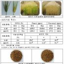 (가격대폭할인판매)늦서리태/쥐눈이콩/백태 ,겉보리판매~ 이미지