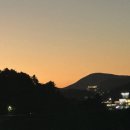 다옴 애견동반 펜션 이미지