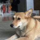 구덕운동장 육교 인근 이미지