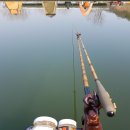 명포낚시터 이미지