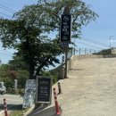 치즈포레스트 | 충주호 뷰맛집 카페 발리포레스트 내돈내산 솔직후기