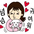 도그 아지트 이미지