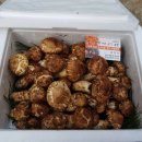 영석농장 이미지