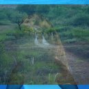 부흥전자 이미지