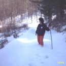 음지농장 이미지