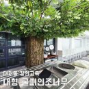 대형 인조나무 인테리어, 실내 굴피 조화나무설치 후기! 대치동 재수학원 강안교육
