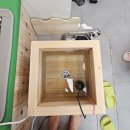 따숨 | 따숨 힐링카페 효성동 후기 다이어트·순환관리·음이온 디톡스 족욕 풀코스 체험기