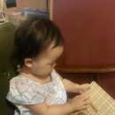 백양루시드 이미지