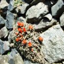 기산(아) 이미지