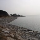 충남 서해안 남당리 새조개를 찾아서(2014.02.28) 이미지