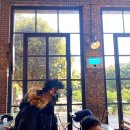 테라로사 서귀포지점