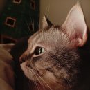 365구름약국 이미지