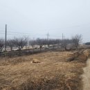 황무로 3 이미지